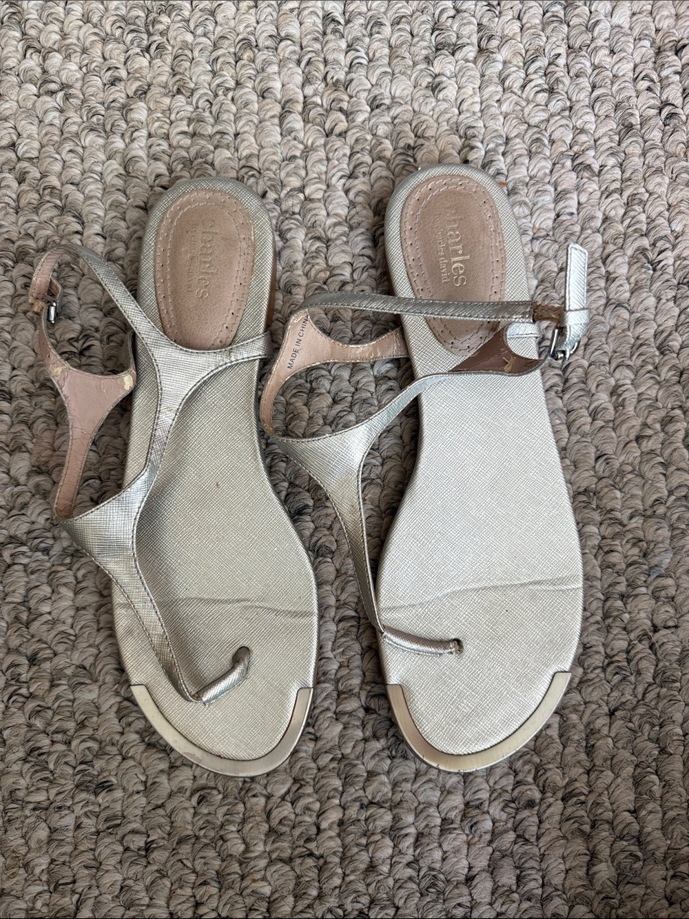 Charles by Charles David Metallic Silver T-Strap Sandals